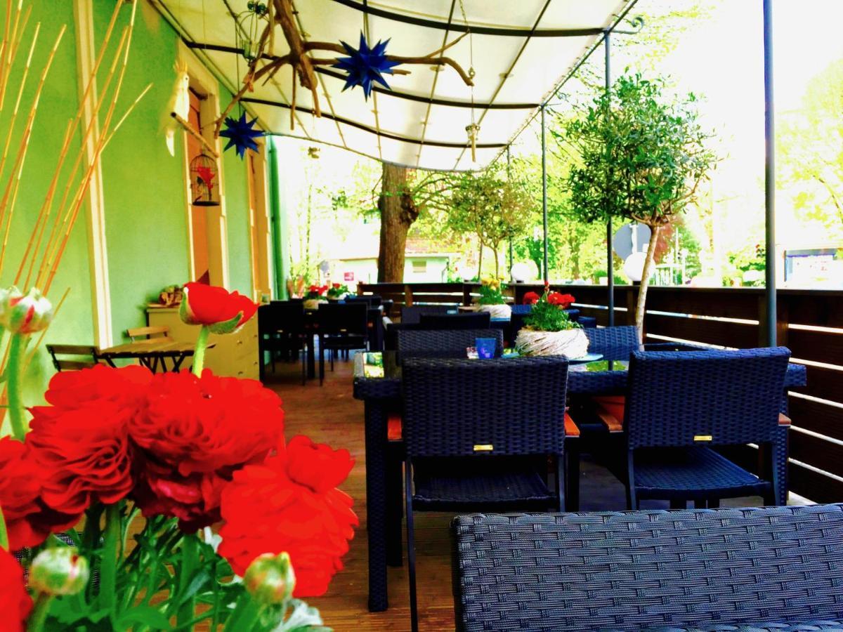 Zu Den Linden - Radebeul Pension Mit Restaurant Exterior photo